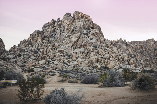 Joshua Tree